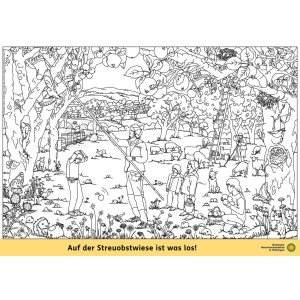 Ausmalbilder