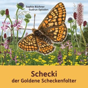 Schecki der goldene Scheckenfalter