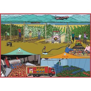 Apfelherkünfte - China