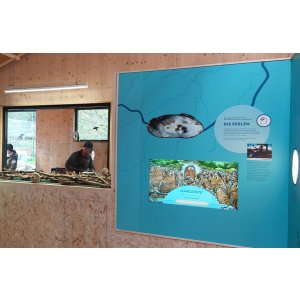 Eröffnung der neuen "Infostelle Grenzmühle" zur Flussperlmuschel im Naturpark Steinwald 2022